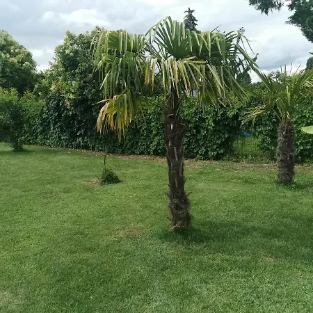 Jolie Avec Piscine Dans Le St Emilionnais Holiday home Sainte-Terre